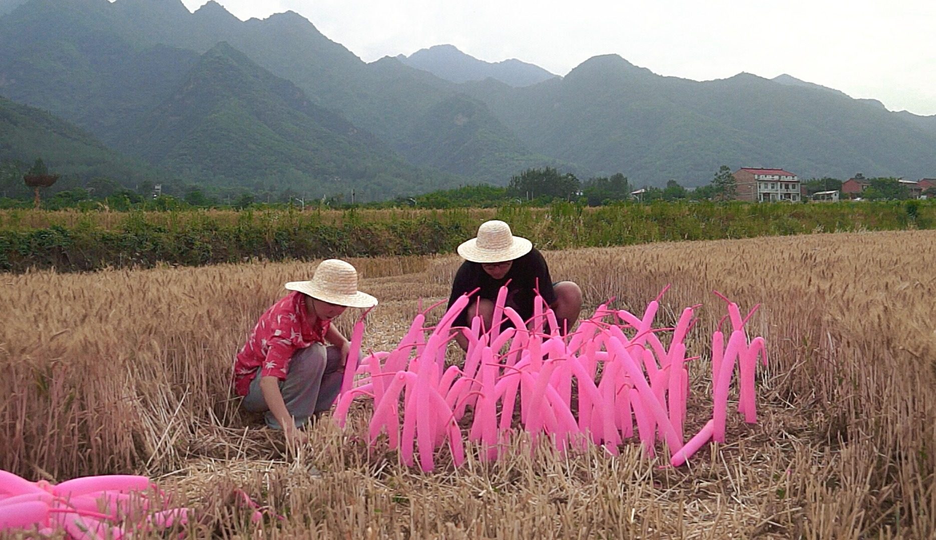 //cdn.xuansiwei.com/tb3105287/1669862260591/songlang xiwangdetianyeshang : On the field of hope 2018 wusuanzhi : Acid free paper 40 × 60 cm 8  2 Ap.jpg?x-oss-process=style/small